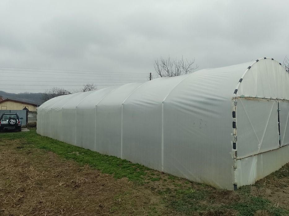 Solarii legume, solar gradina