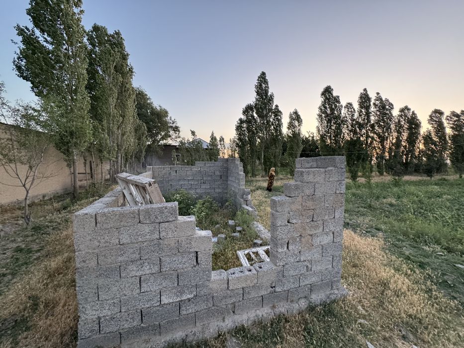 Plan soliqlari tolangan ofarmlenya muammo yoq