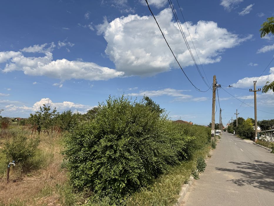 Teren intravilan de vânzare – 4.009 mp – Sălcioara, Comuna Jurilovca, Tulcea