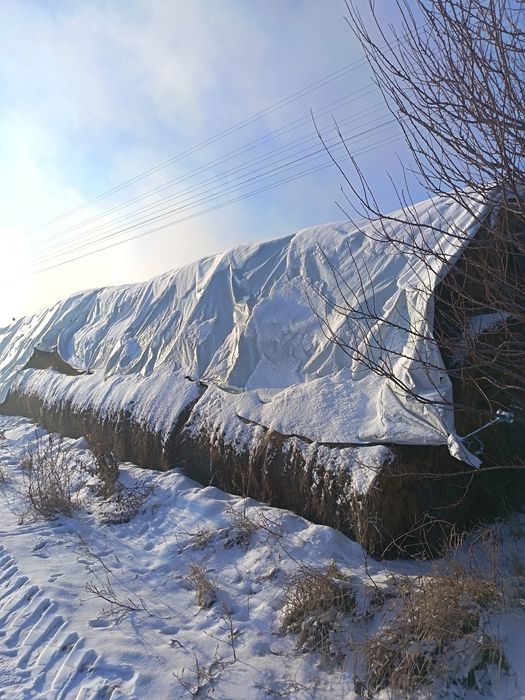Vand baloti de Lucerna 120/120 coasa 2 și 3 și de fân