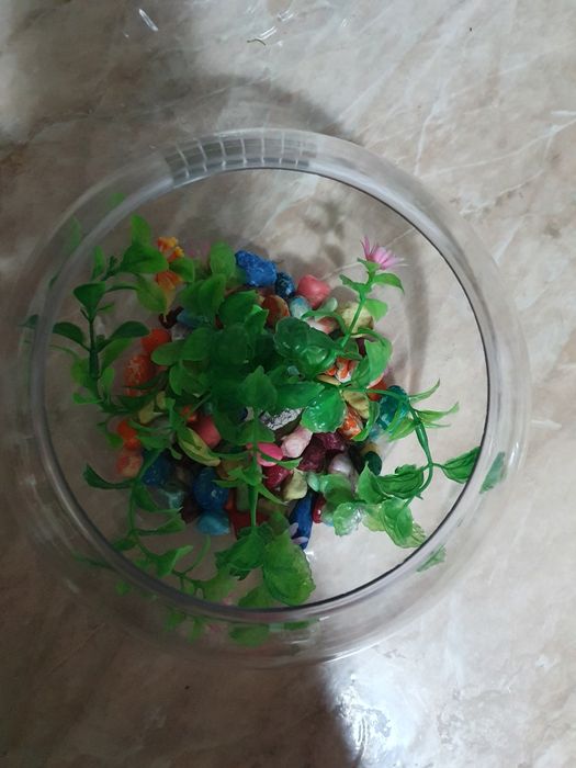 Срочно продам аквариум 3 литровый.