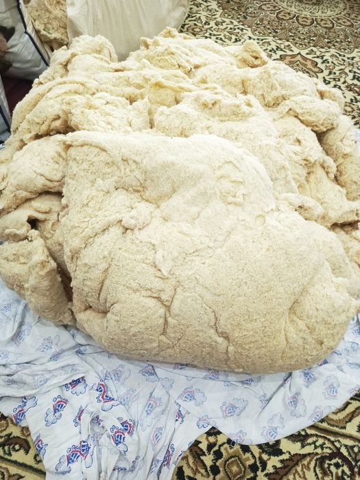 Пахта сотилади! Арзон нархда!