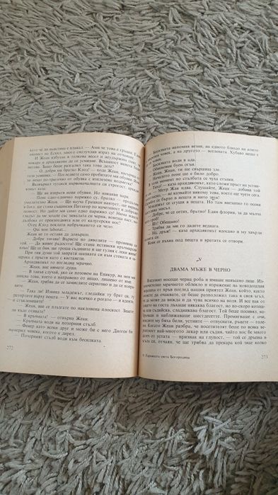 Парижката света богородица от Виктор Юго.