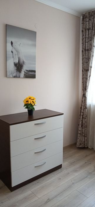 Двустаен Възраждане с Асансьор, Интернет