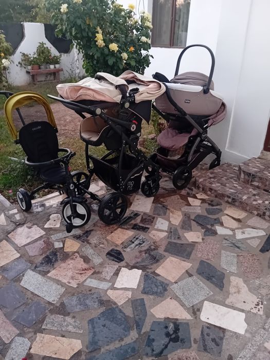 Se vând toate la prețul de 200 lei