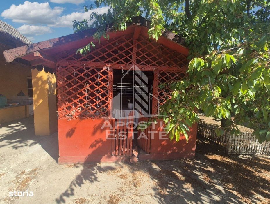 Proprietate Premium Teremia Mare - Apostu Estate