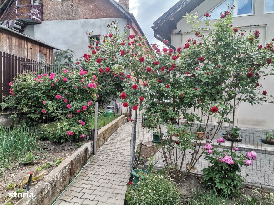 Casa P+M în zona Baciu din Sacele