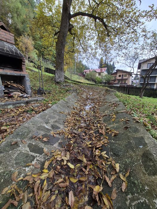 Vila de inchiriat Sinaia - Disponibilitate Craciun