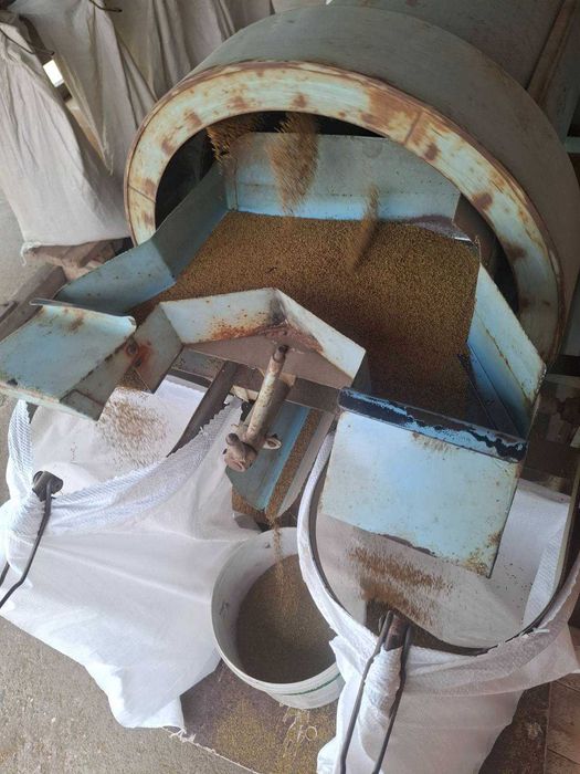 Продавам семе люцерна