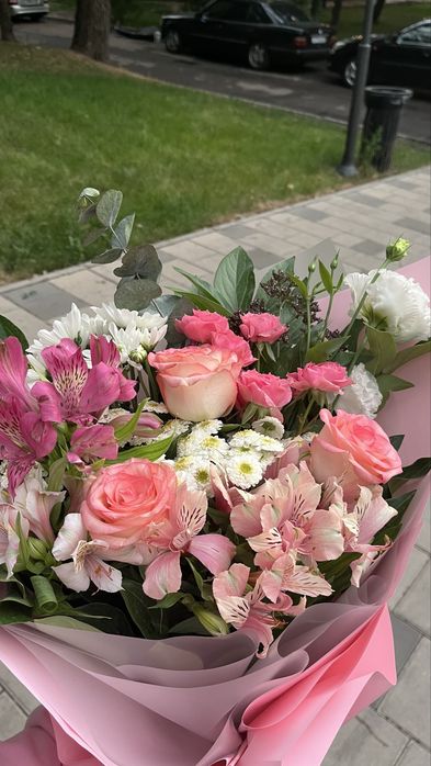Жалко лактыруга