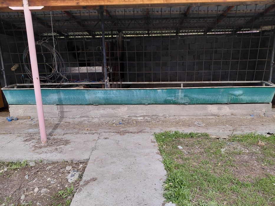 Кормушка для скота