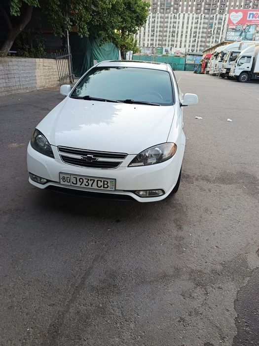 Chorvoq tog bagrida aylantiriw xizmati