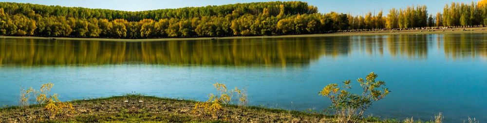 Teren intravilan 1837 mp la Dunăre, în Peceneaga, Tulcea