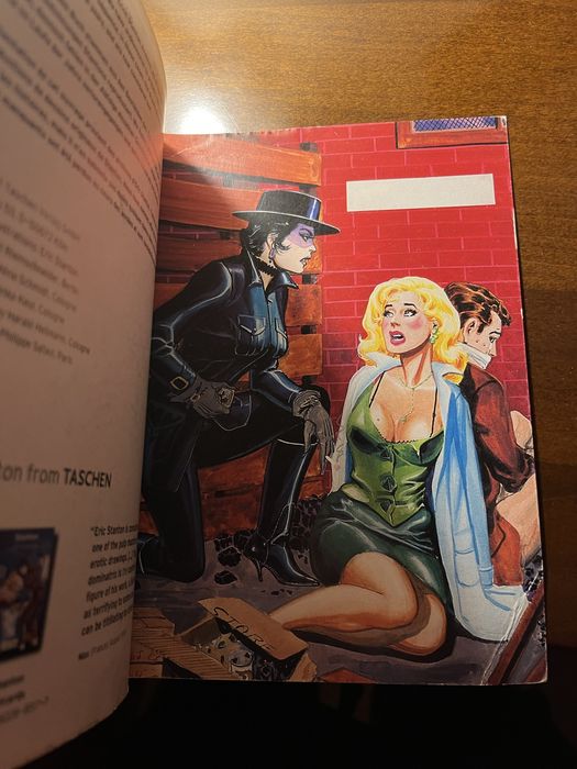 Комикс еротичен роман  за възрастни от Ерик Стантън за колекционери