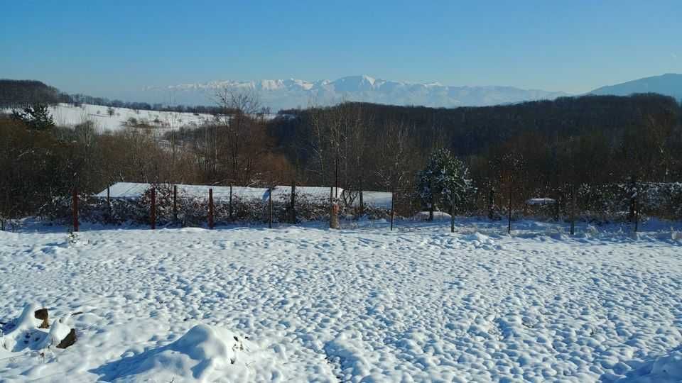 Teren panoramic Cisnădioara • Vedere Făgăraș & Cetate •Investiție rara