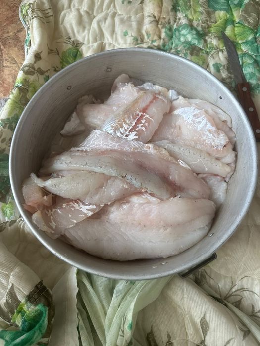 свежий Фарш из судака