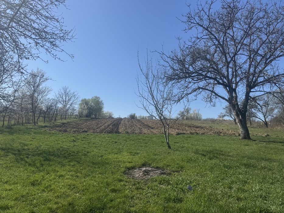 Vand casa si teren la 40 km de Baia Mare