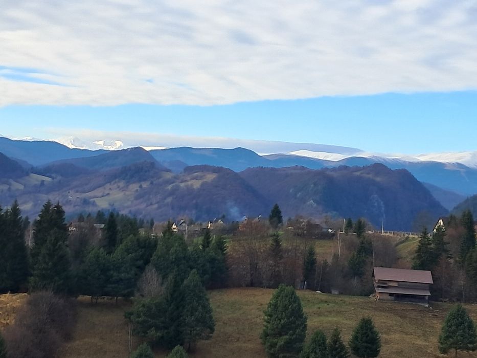 teren la munte Rucar-Moeciu-Bran