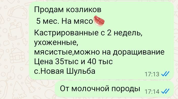 Продам козлёнка на мясо