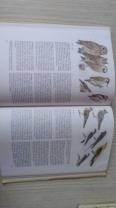 Plante și animale. Un ghid al naturii - ediția germană (DDR)