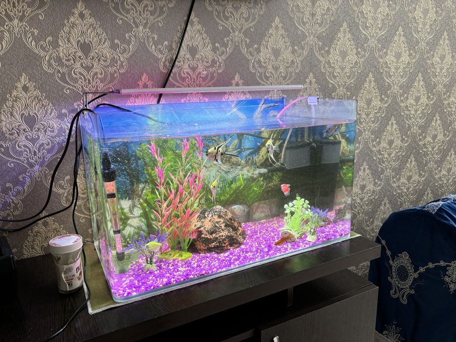 Продается аквариум с рыбками.