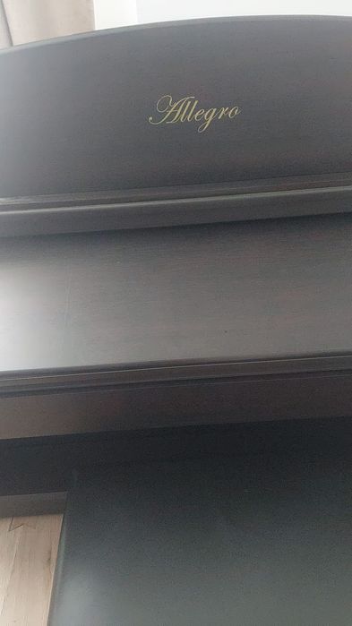 Pian digital Allegro 8860 de vânzare
Pian 
Pian digital Allegro 8860 d