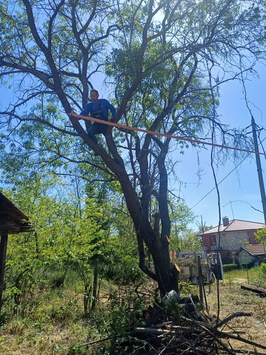 Косене на трева.Почистване на дворни места от храсти,дървета