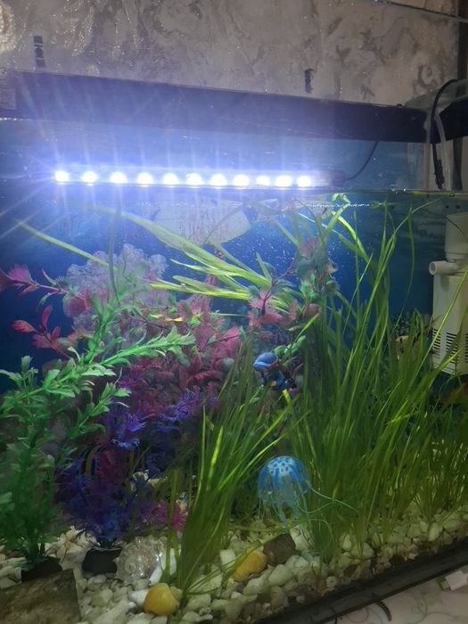 Продам аквариум на 25 л