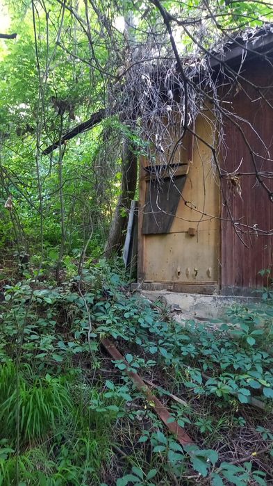 Сдам дачу в аренду