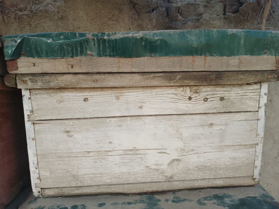 Asalari yashiklari sotiladi narxi 250000 kelshiladi koʻproq olinsa 200