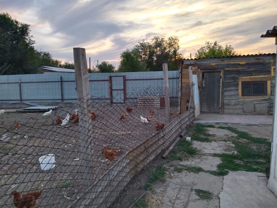 Продам дом 12 соток