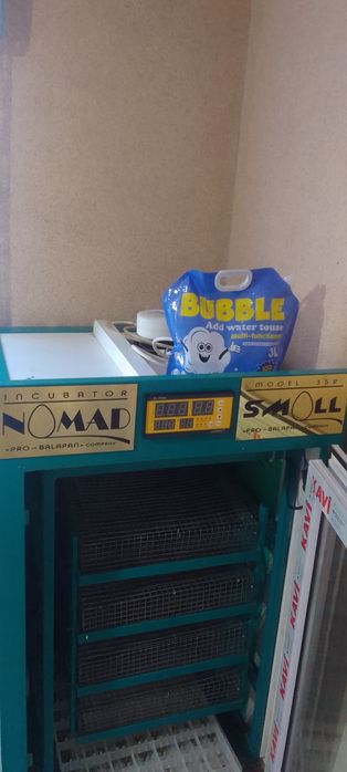 Инкубатор балапан