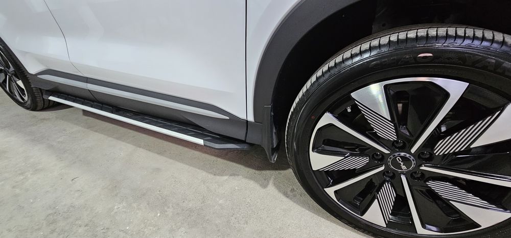 Byd champion restaylin