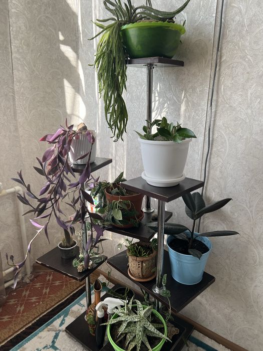 Подставка, стойка под цветы