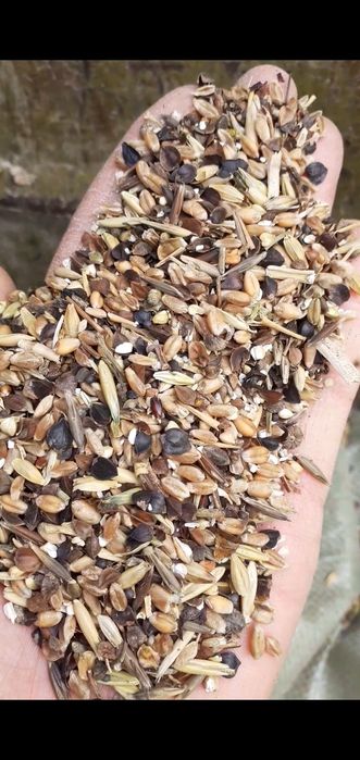 Отходы Полова для Крс лошадей