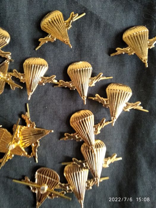 Эмблема (петлички) ВДВ