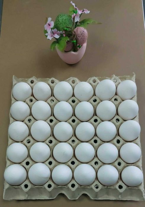 Яйца - бели и кафяви