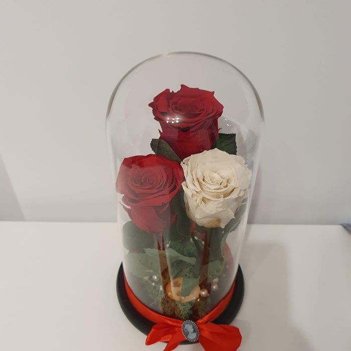 Cupola cu trandafiri criogenati conservati in cupola de sticla