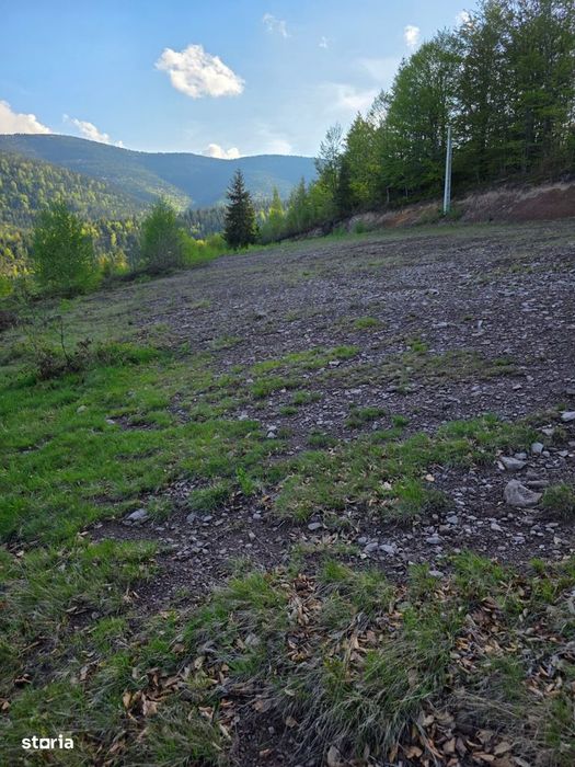 Teren Arieșeni – 6 loturi/6000 mp + drum comun cu utilități, Vârciorog