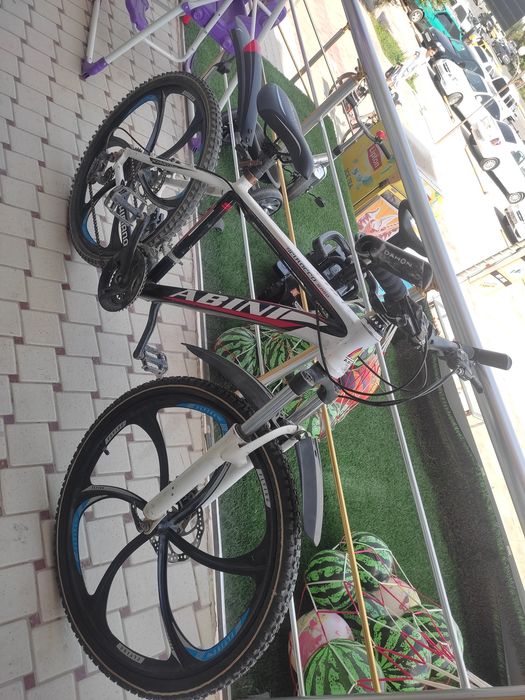 Velosepet abini yili 2023