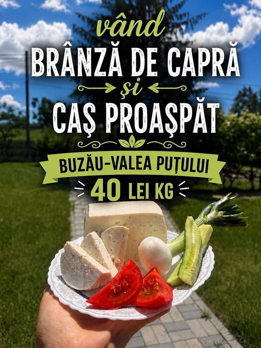 Vand branza de oaie,capra si cas 40 lei kg