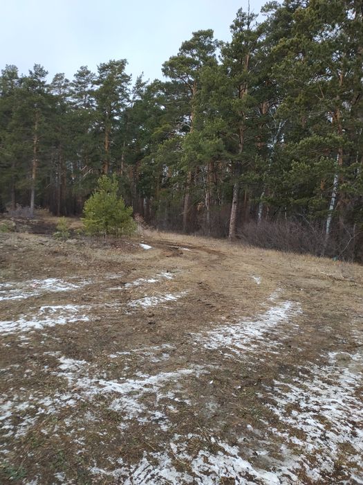 Продам участок в Щучинск (ЩИПТ)