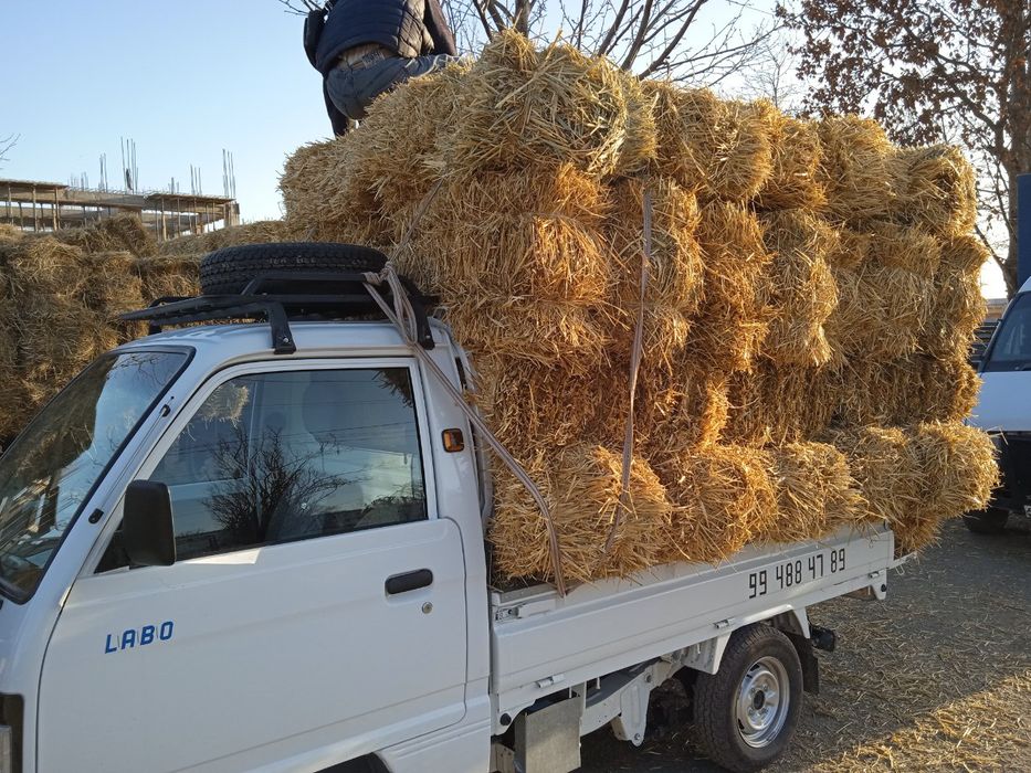 Грузоперевозки лабо юк ташиш