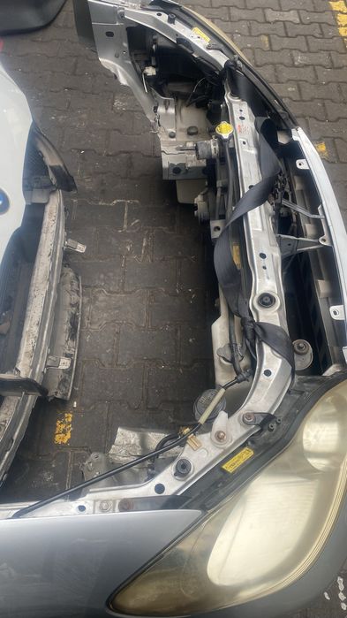 Ноускат Ипсум рестайлинг