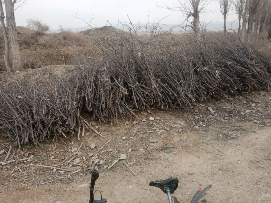 O'tin sotiladi arzon narxda