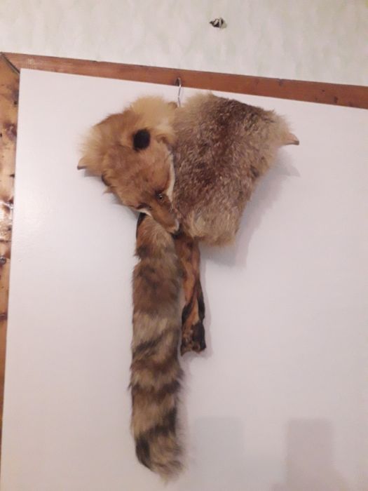 Яка от лисица 2 броя