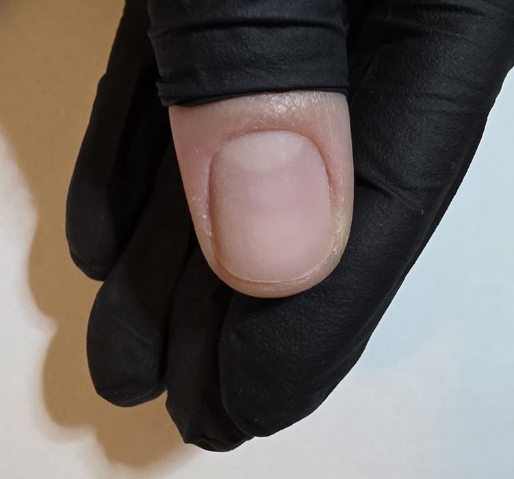 Unghii ojă semi/gel/ polygel