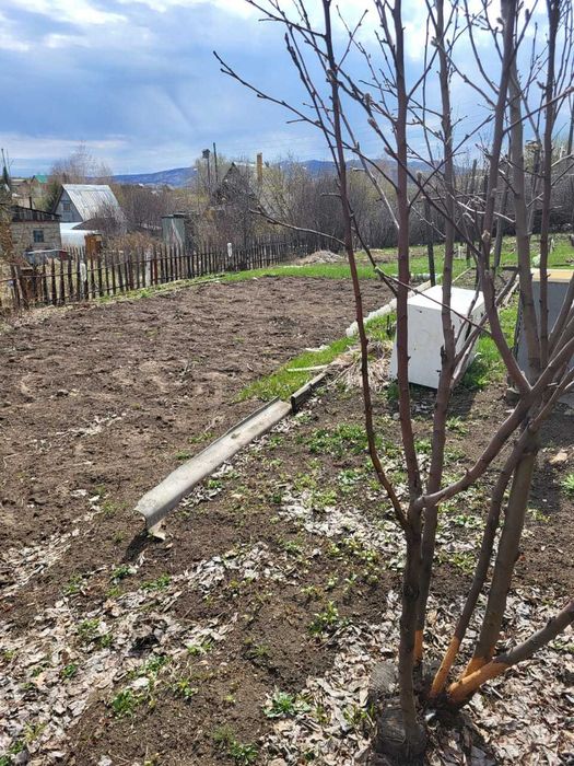 продается дача за Куленовкой