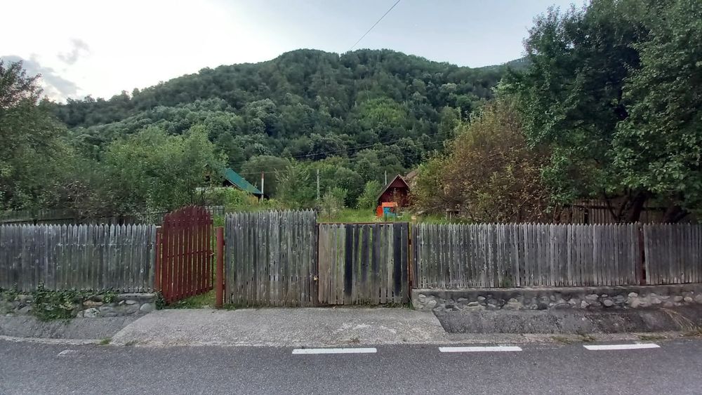 Teren cu cabanuta  Păscoaia Brezoi Valcea