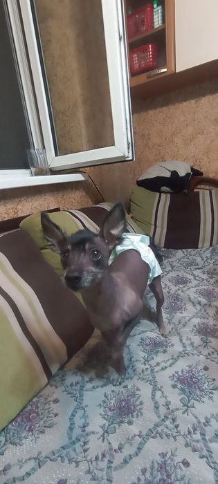 Мальчик ищет подругу